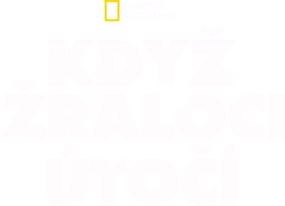 Když žraloci útočí