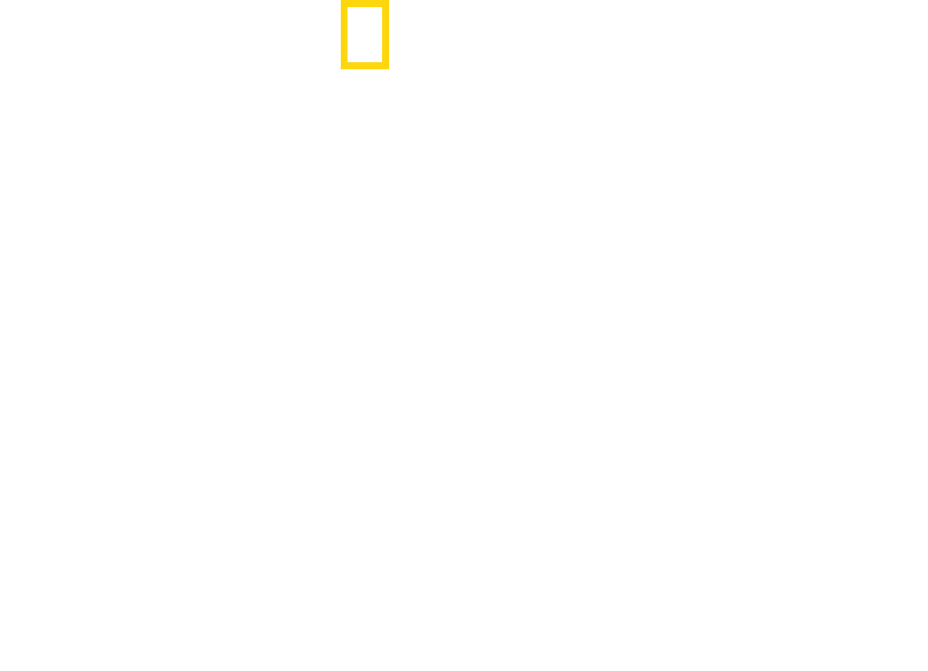 Když žraloci útočí