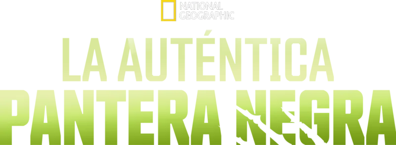 La auténtica pantera negra