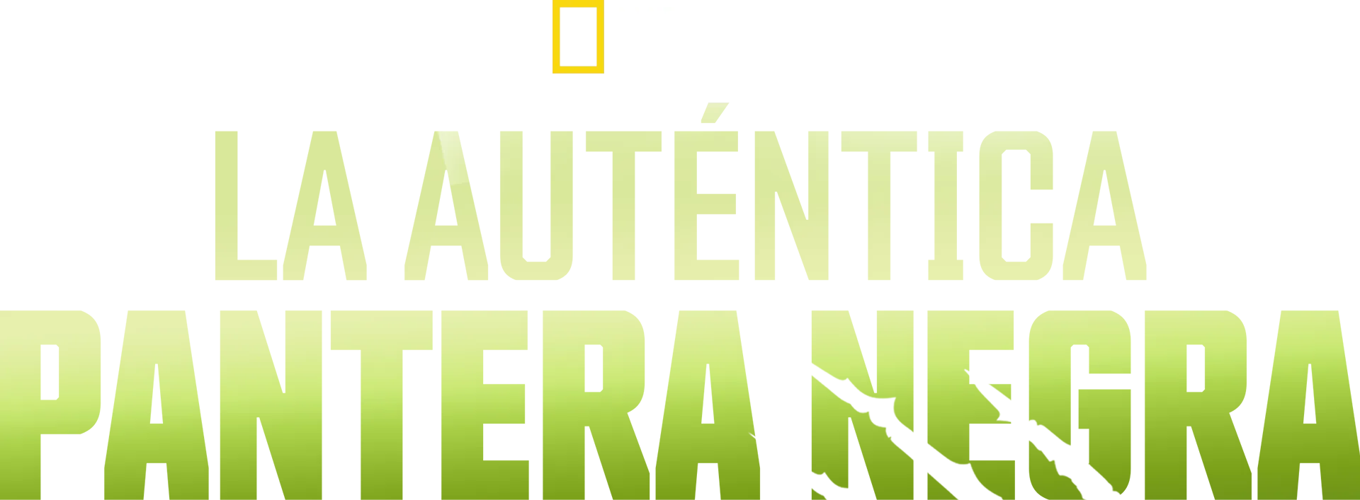 La auténtica pantera negra
