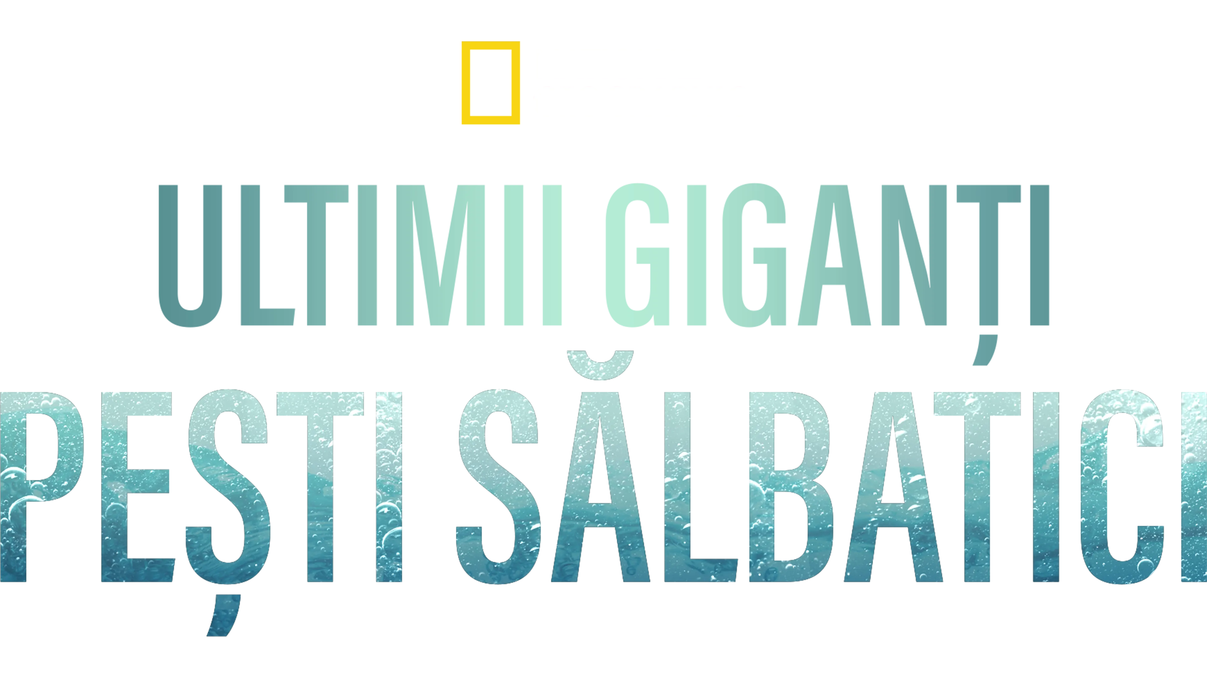 Last of the Giants: Wild Fish