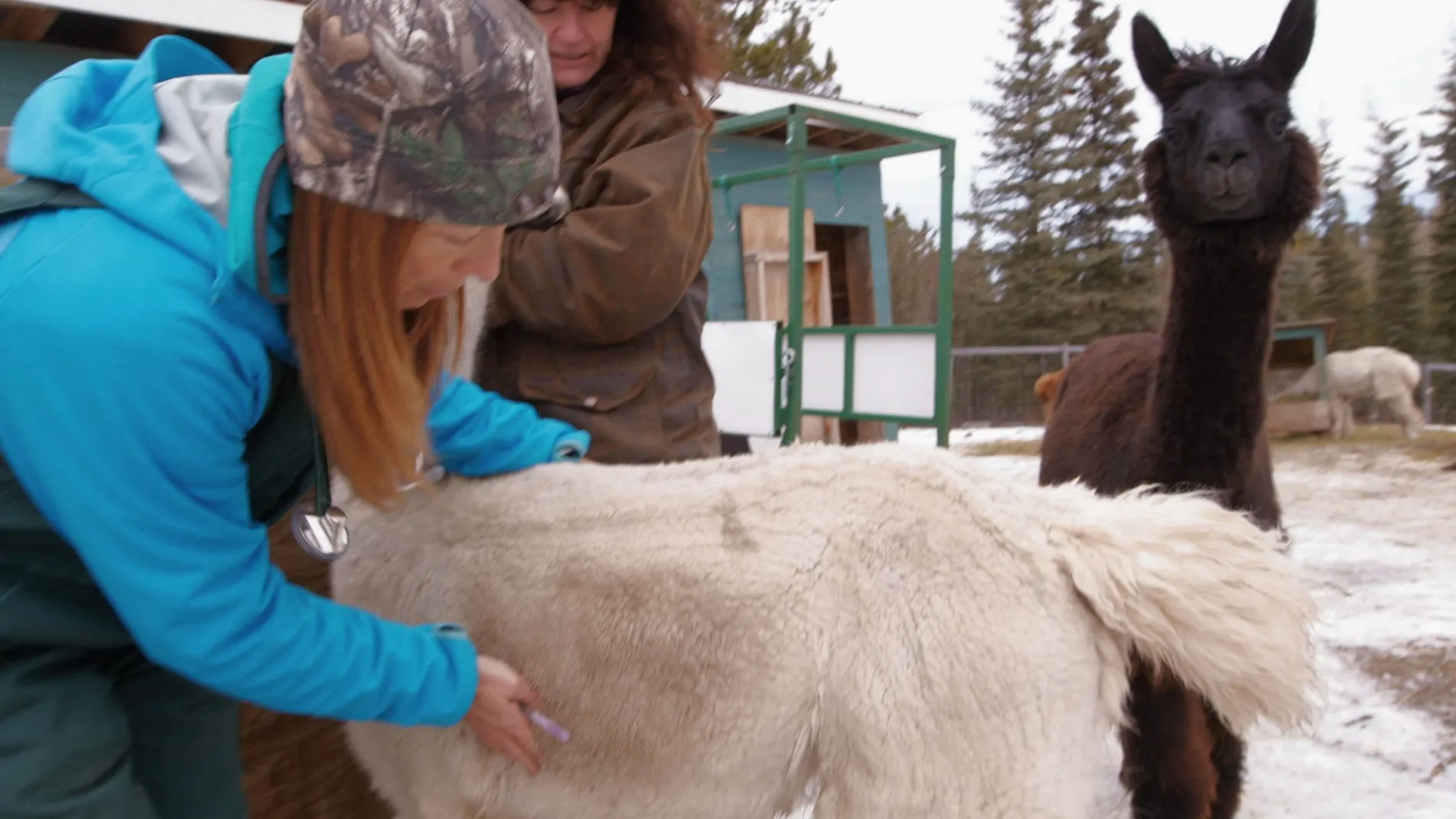 thumbnail - S1:E3 Caribou Down