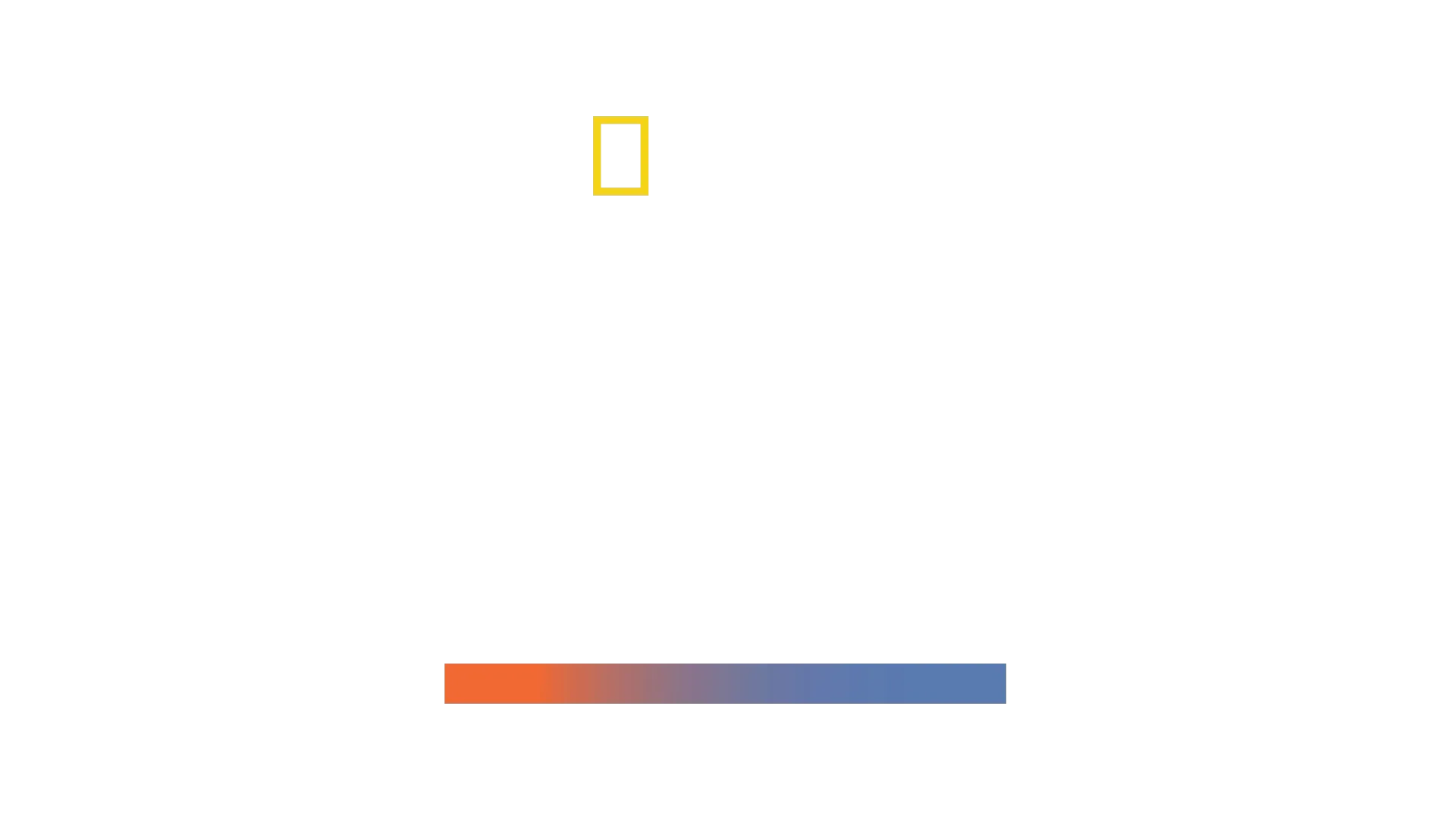 Mega Hammerhead