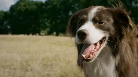 Käthe und ich - Freundinnen für immer
