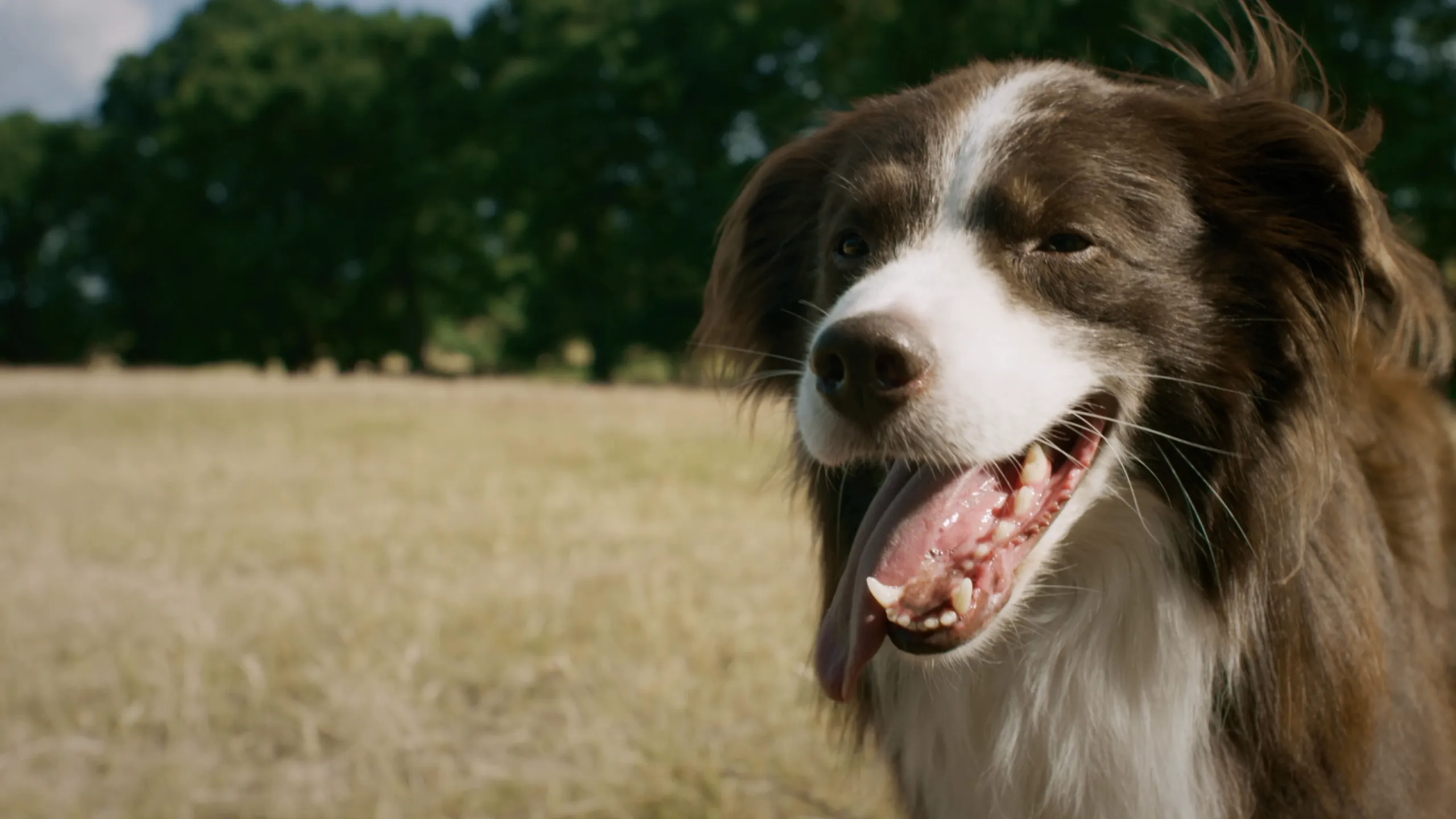 Käthe und ich - Freundinnen für immer