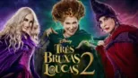 thumbnail - Três Bruxas Loucas 2
