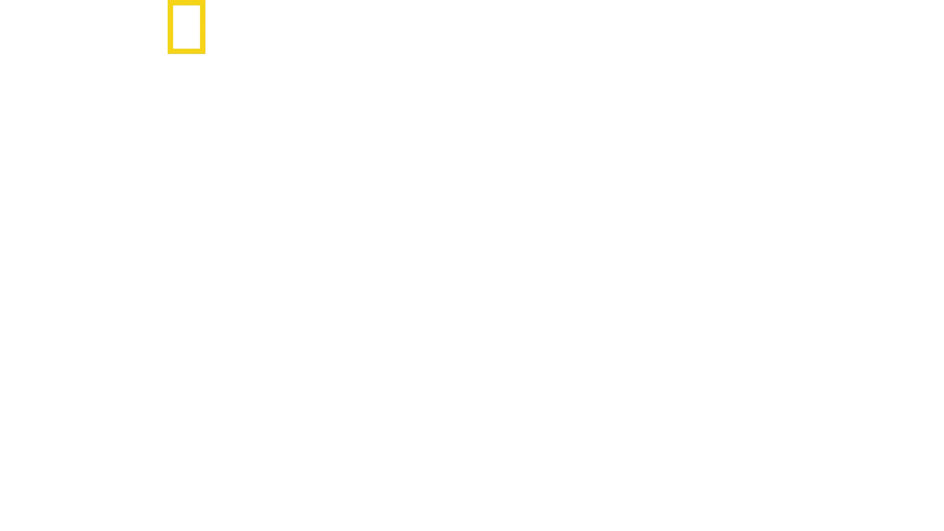 På innsiden av SS: Veien til makten