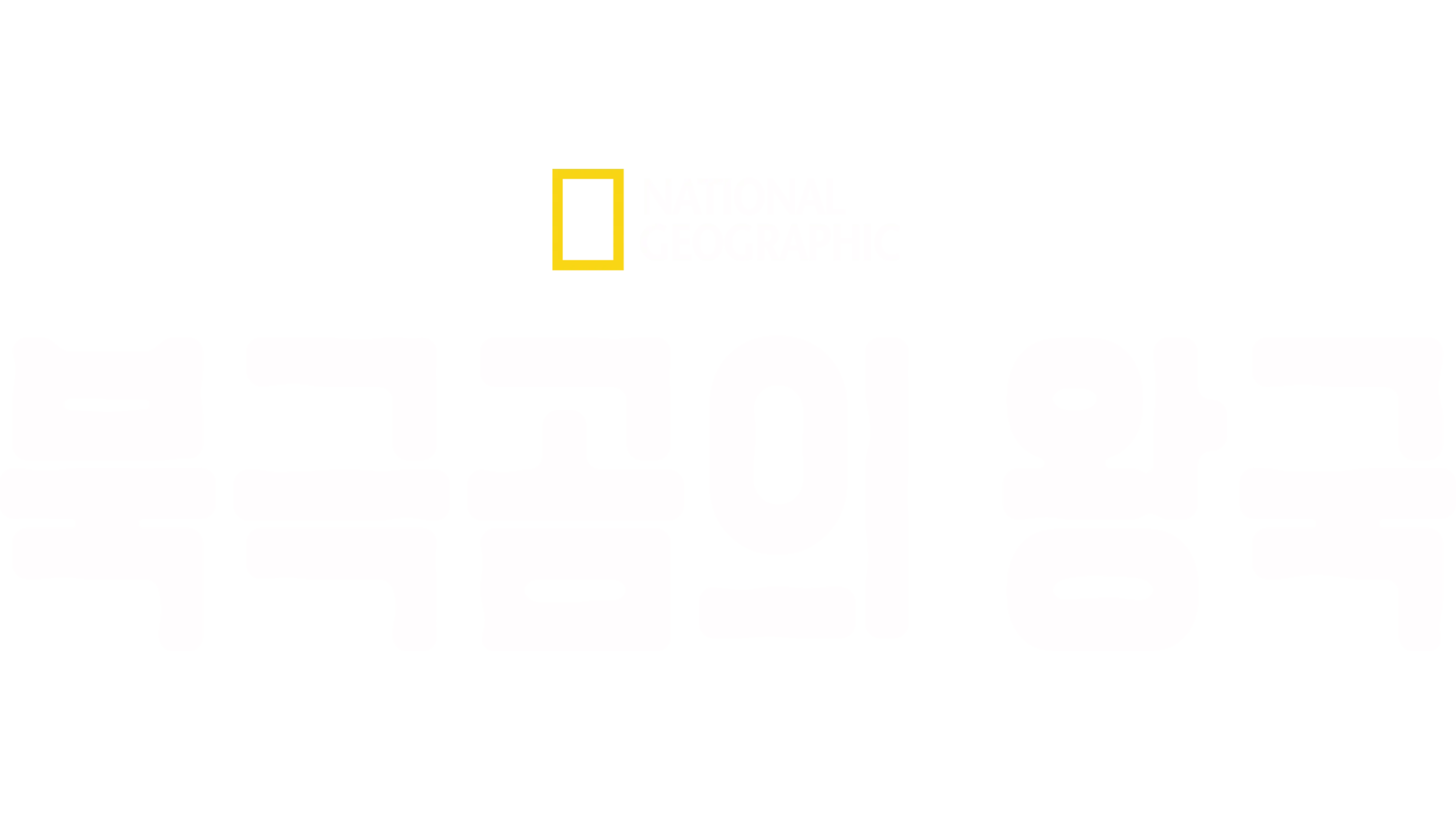 북극곰의 왕국
