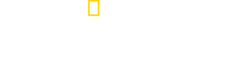 북극곰의 왕국