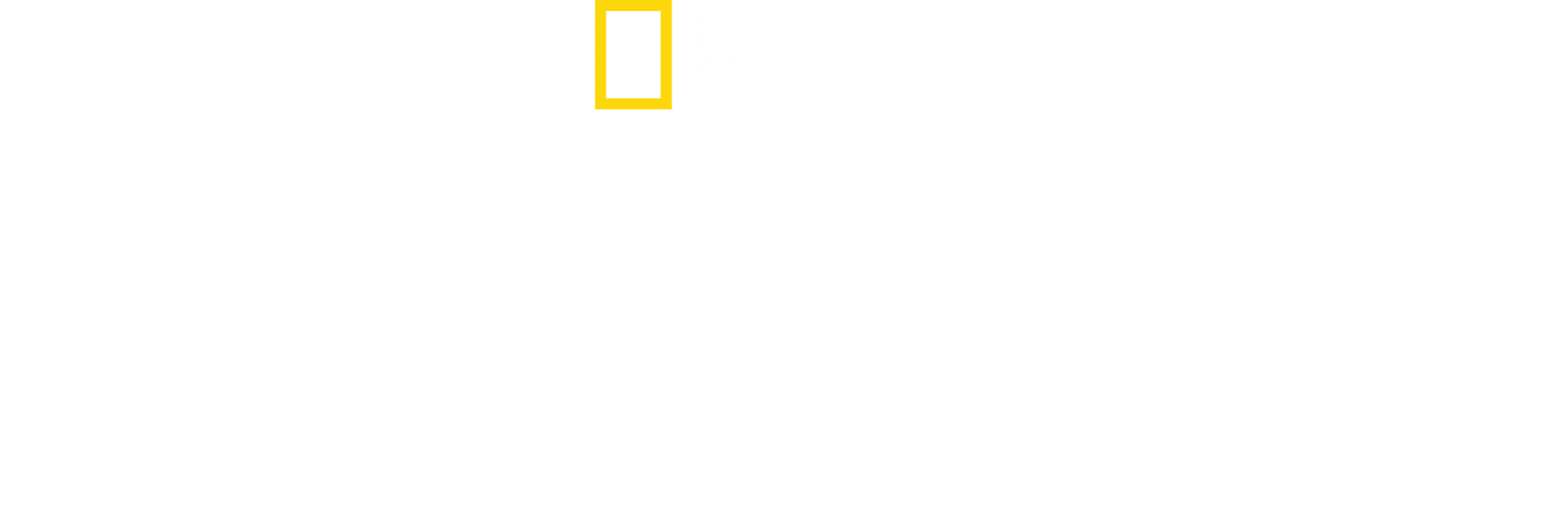 북극곰의 왕국