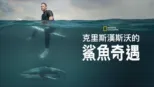 thumbnail - 克里斯漢斯沃的鯊魚奇遇