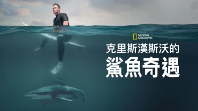 克里斯漢斯沃的鯊魚奇遇