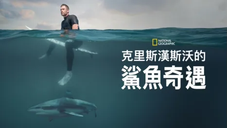 thumbnail - 克里斯漢斯沃的鯊魚奇遇