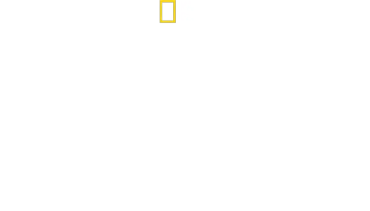 Djur växer upp