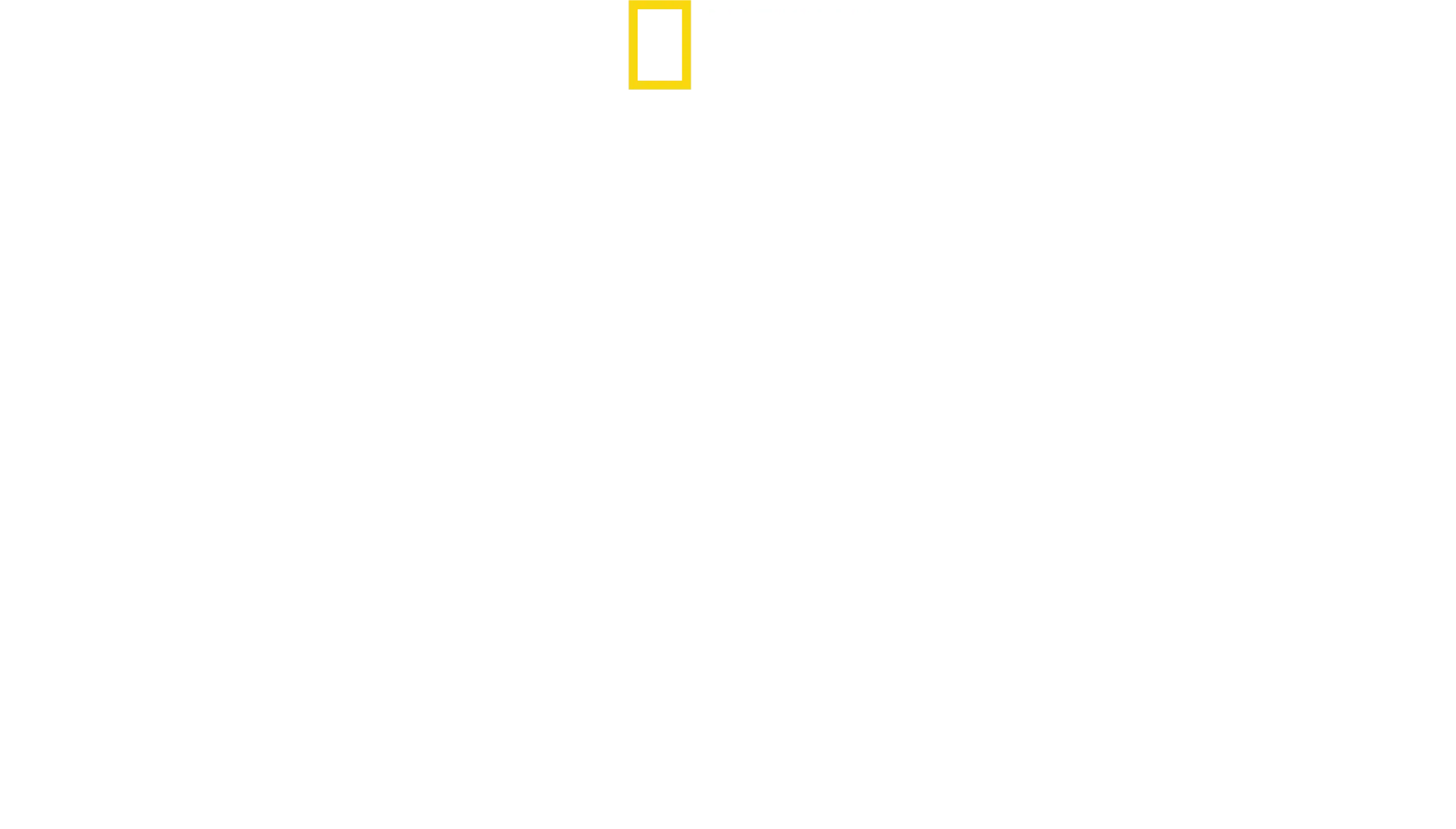 Djur växer upp