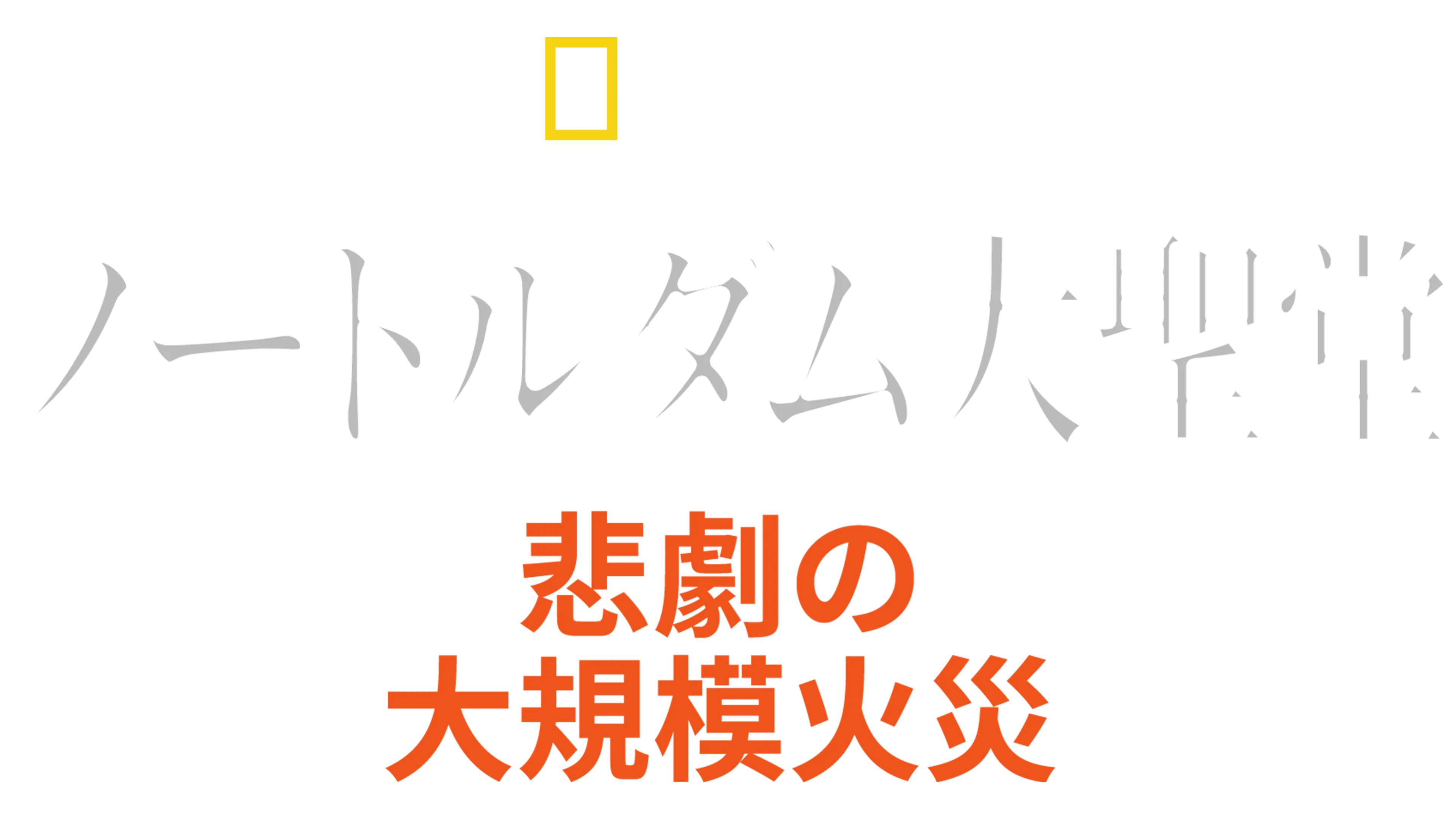 ノートルダム大聖堂：悲劇の大規模火災