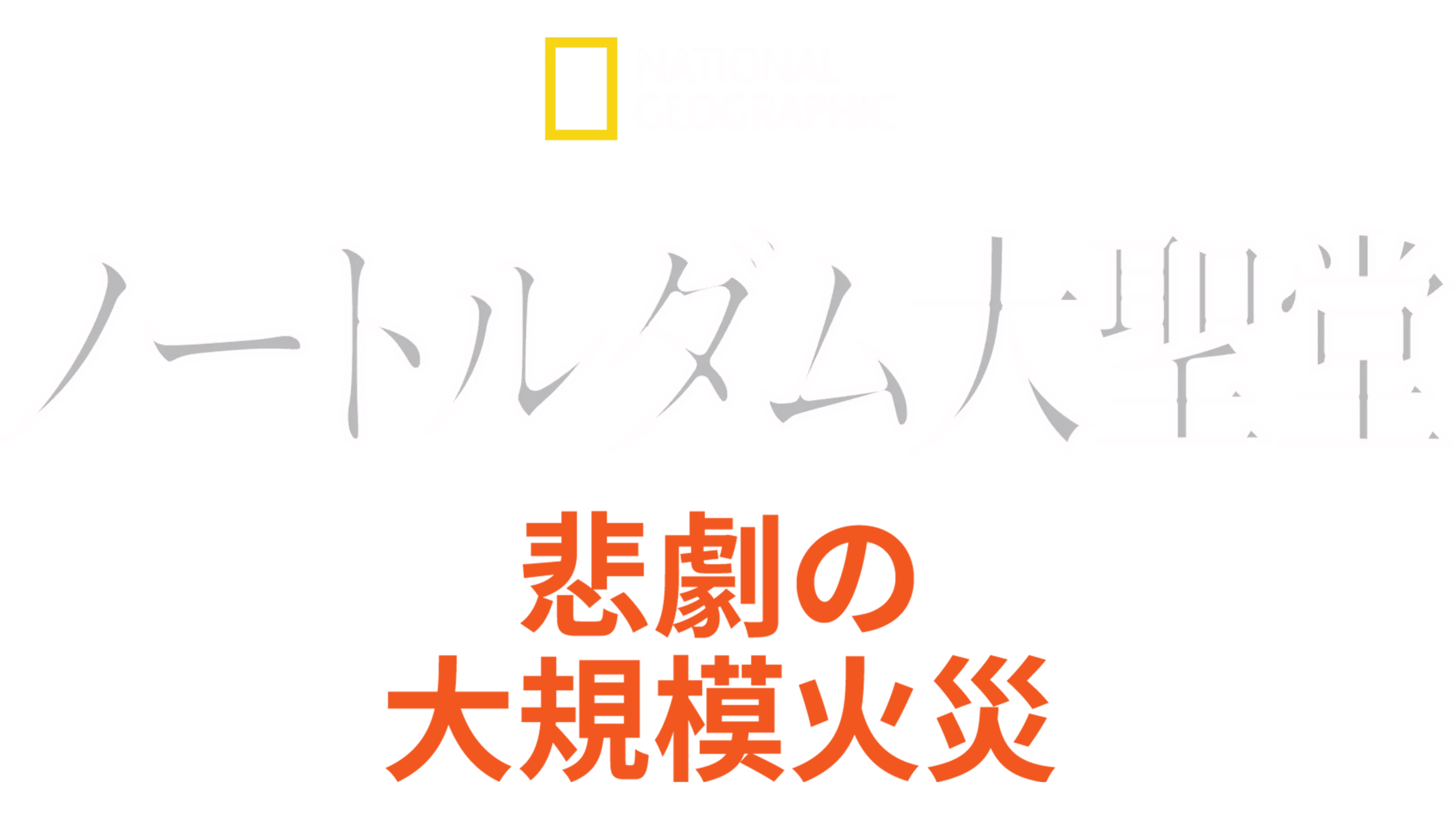 ノートルダム大聖堂：悲劇の大規模火災