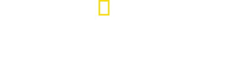 코끼리의 비밀