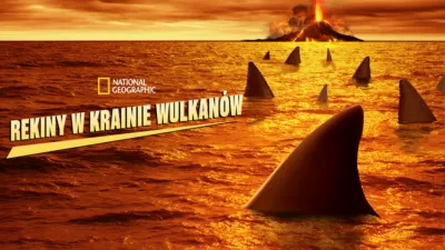 Rekiny w krainie wulkanów