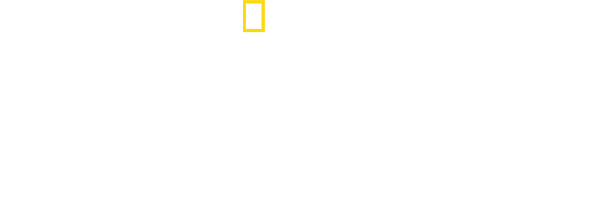 Baleias vs. Tubarões