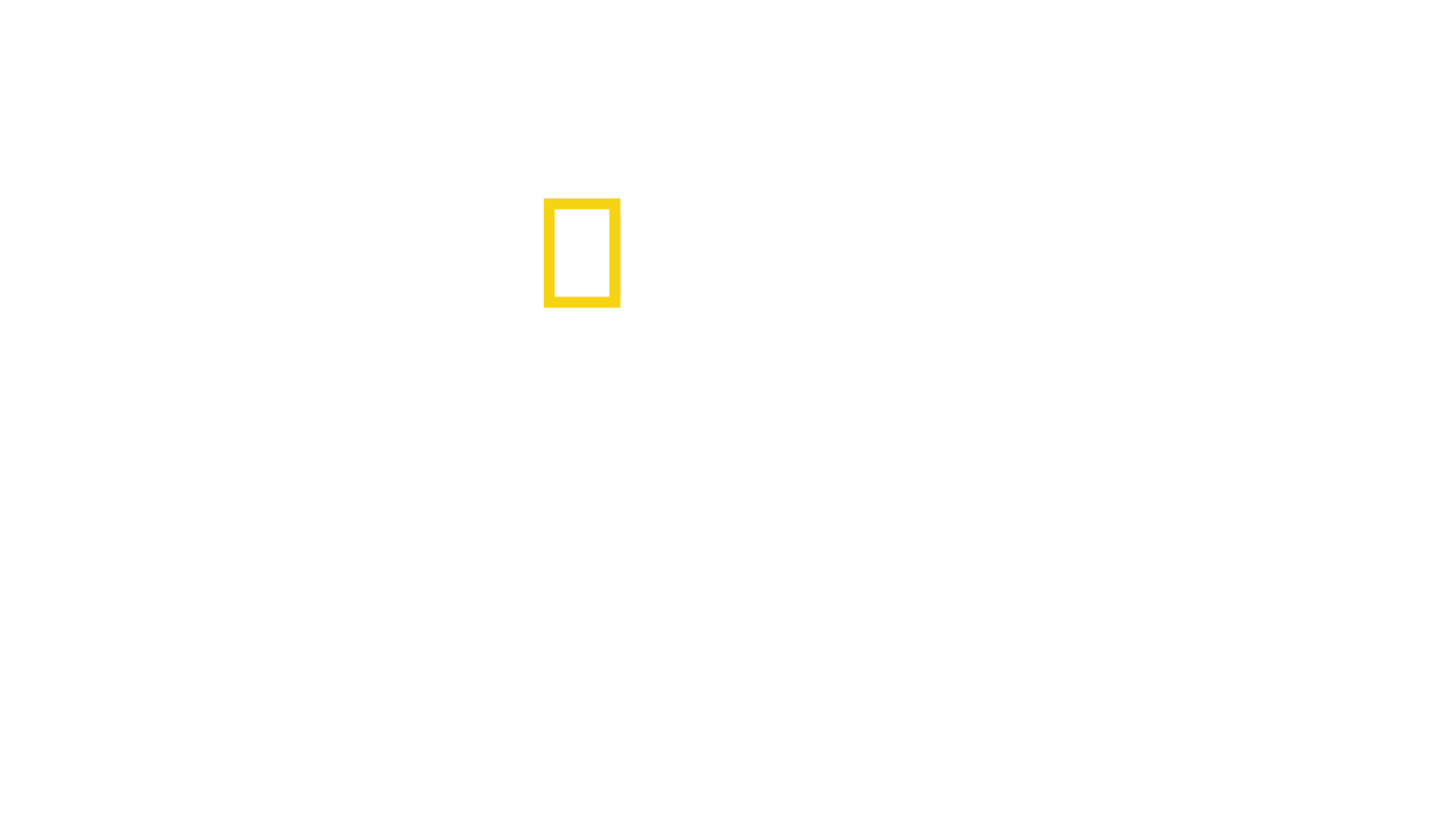 鯊魚襲船事件