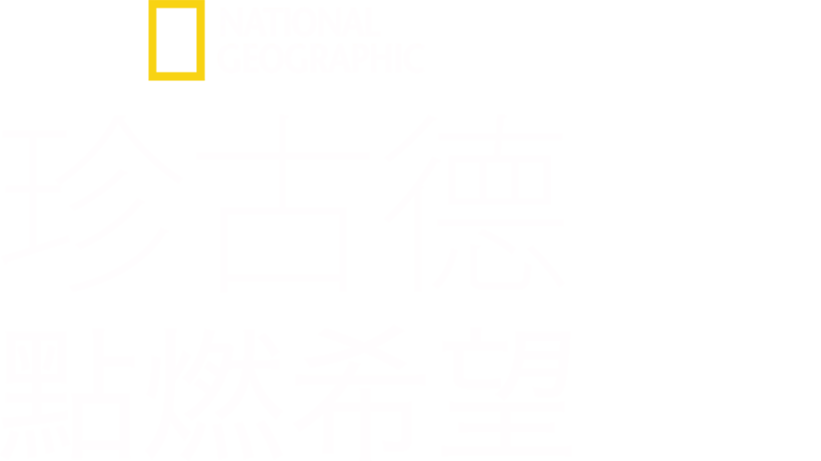 珍古德：點燃希望