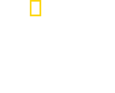 珍古德：點燃希望