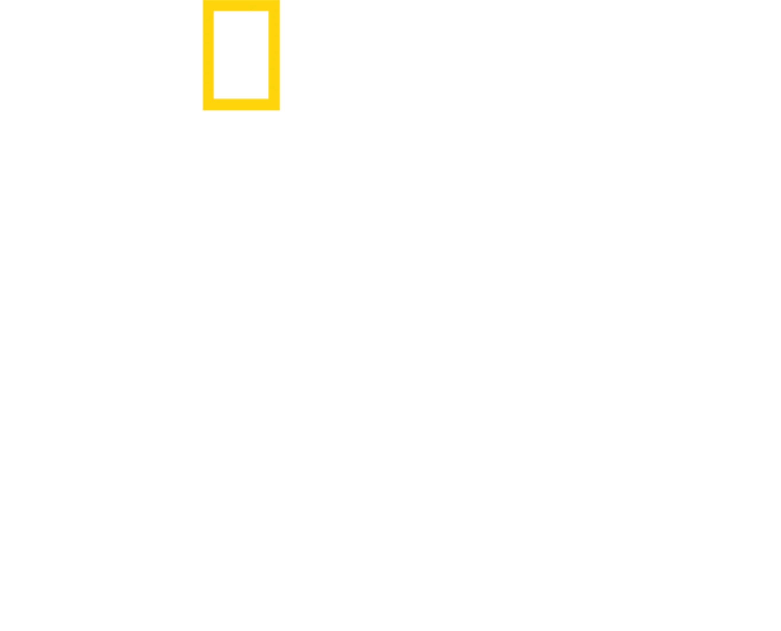 珍古德：點燃希望
