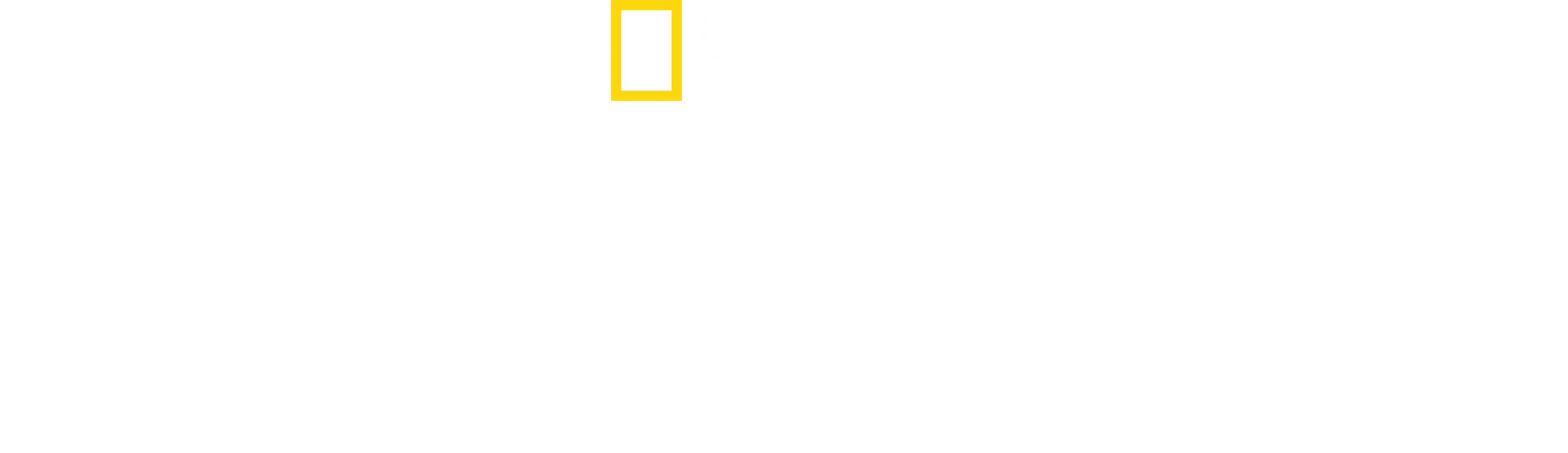 Akashinga'nın Cesur Kadınları