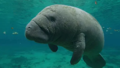 thumbnail - S1:E3 Everglades