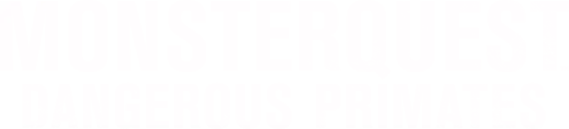 MonsterQuest: Dangerous Primates