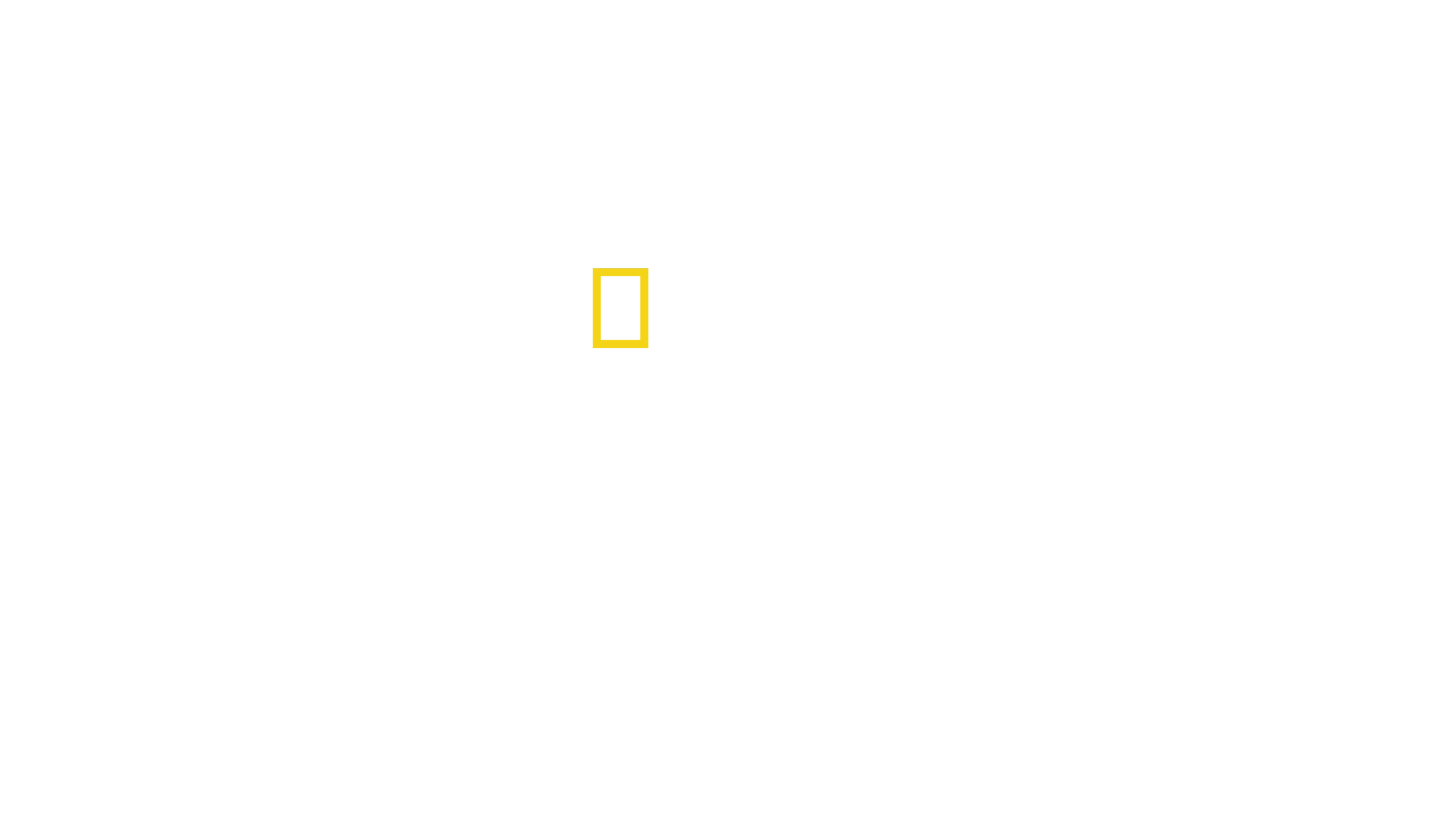 Bem-Vindo ao Futuro