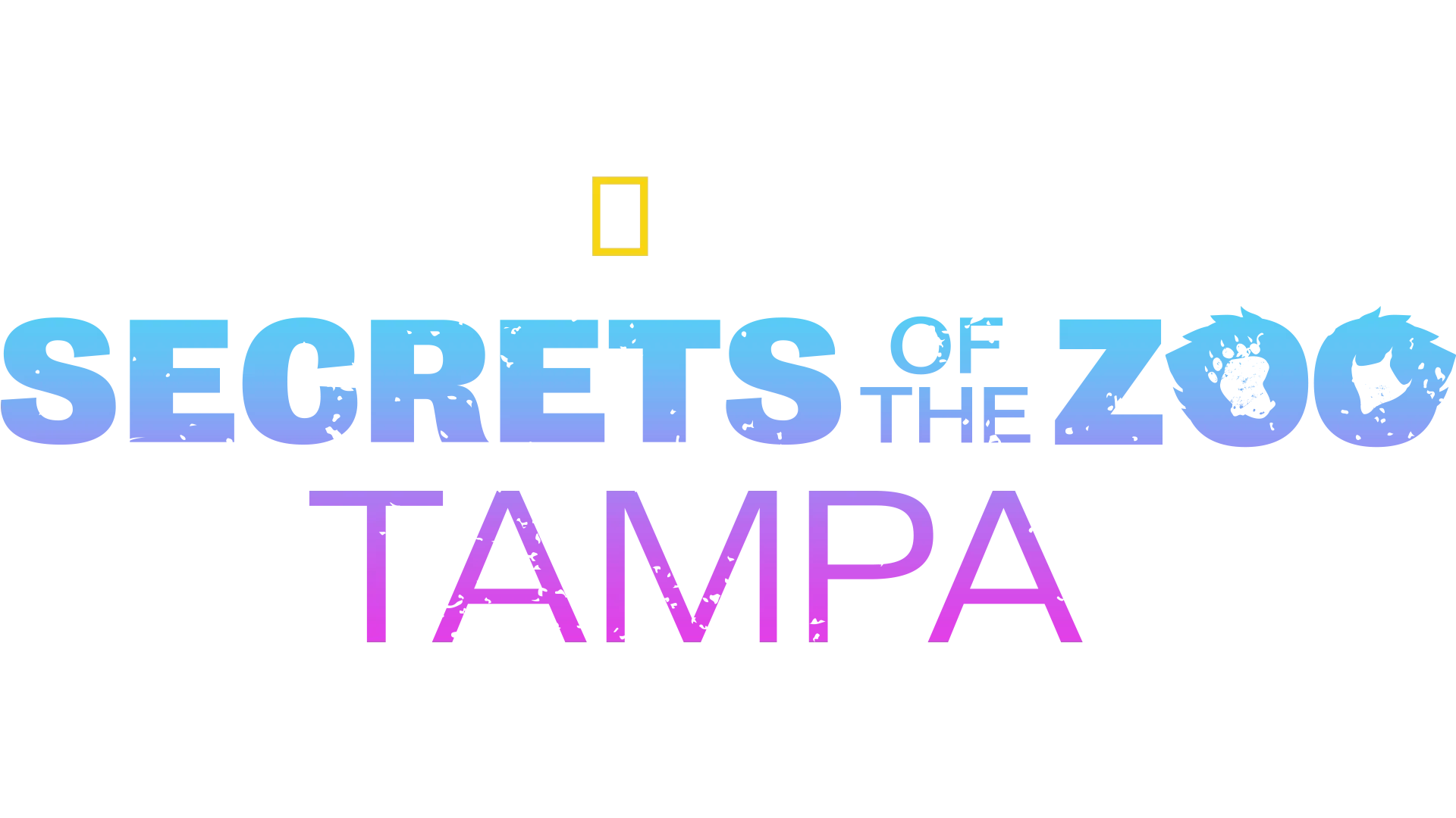 Secrets of the Zoo: Tampa