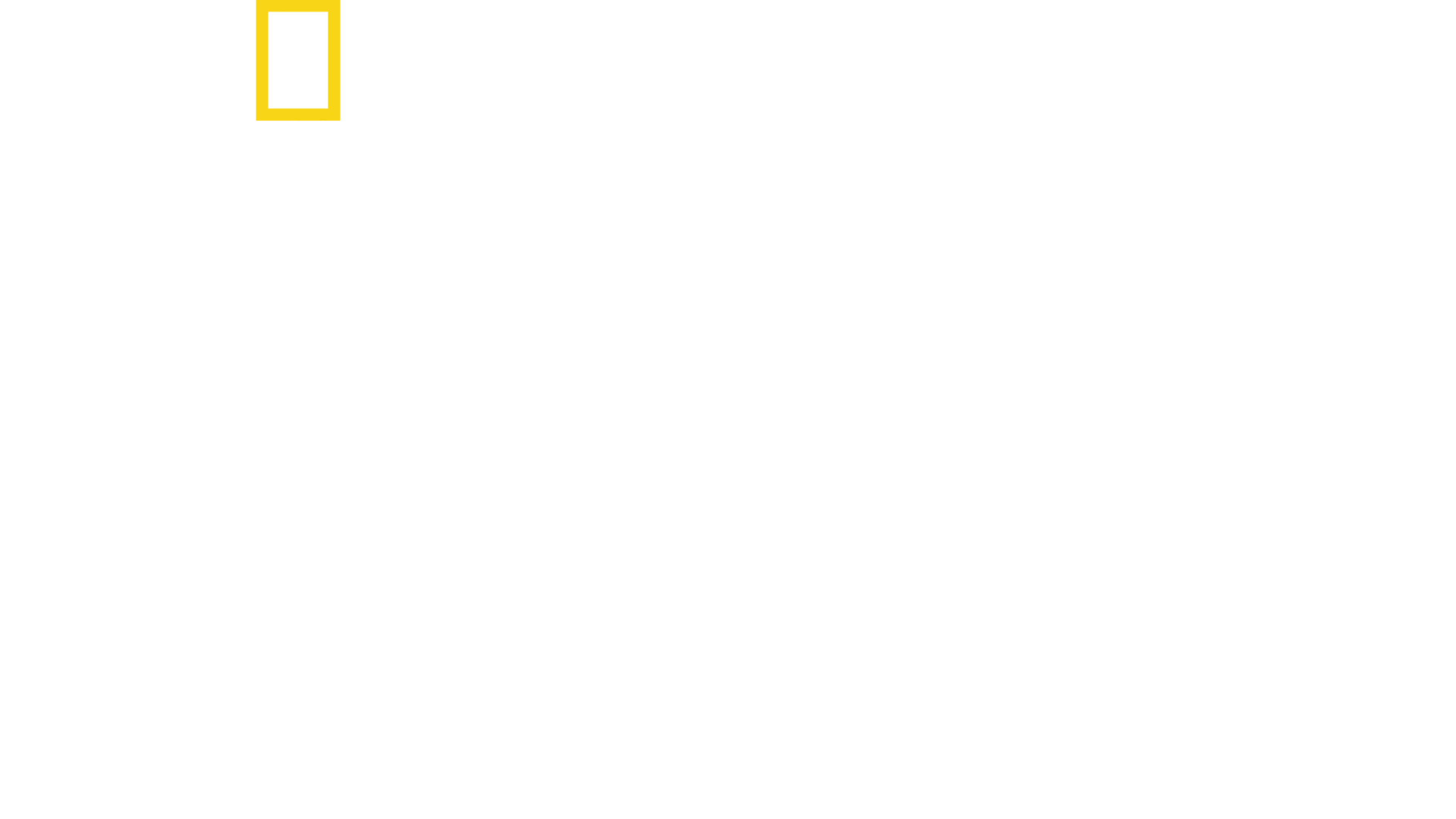 野性黄石公园
