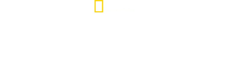 Juego de Tiburones