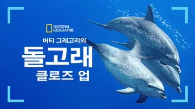 thumbnail - 버티 그레고리의 돌고래 클로즈 업