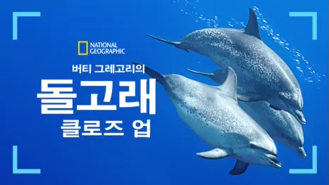 thumbnail - 버티 그레고리의 돌고래 클로즈 업