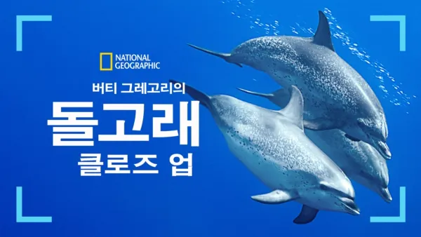 thumbnail - 버티 그레고리의 돌고래 클로즈 업