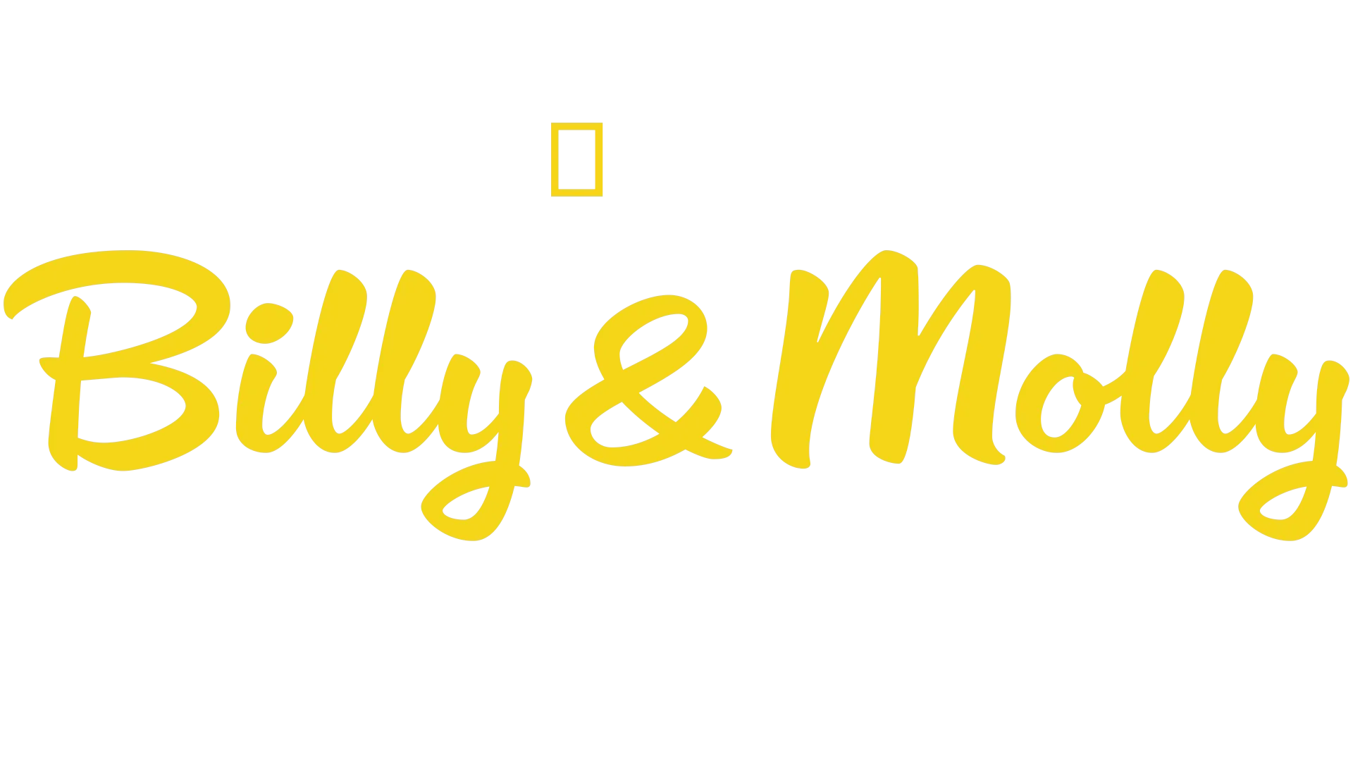 Billy & Molly: An Otter Love Story