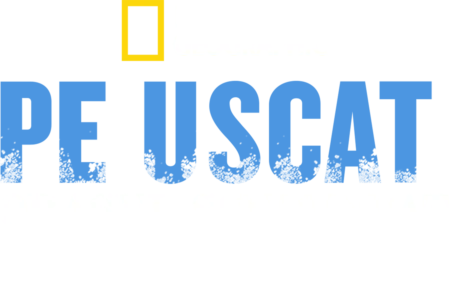 Pe uscat: Orașul scufundat al piraților