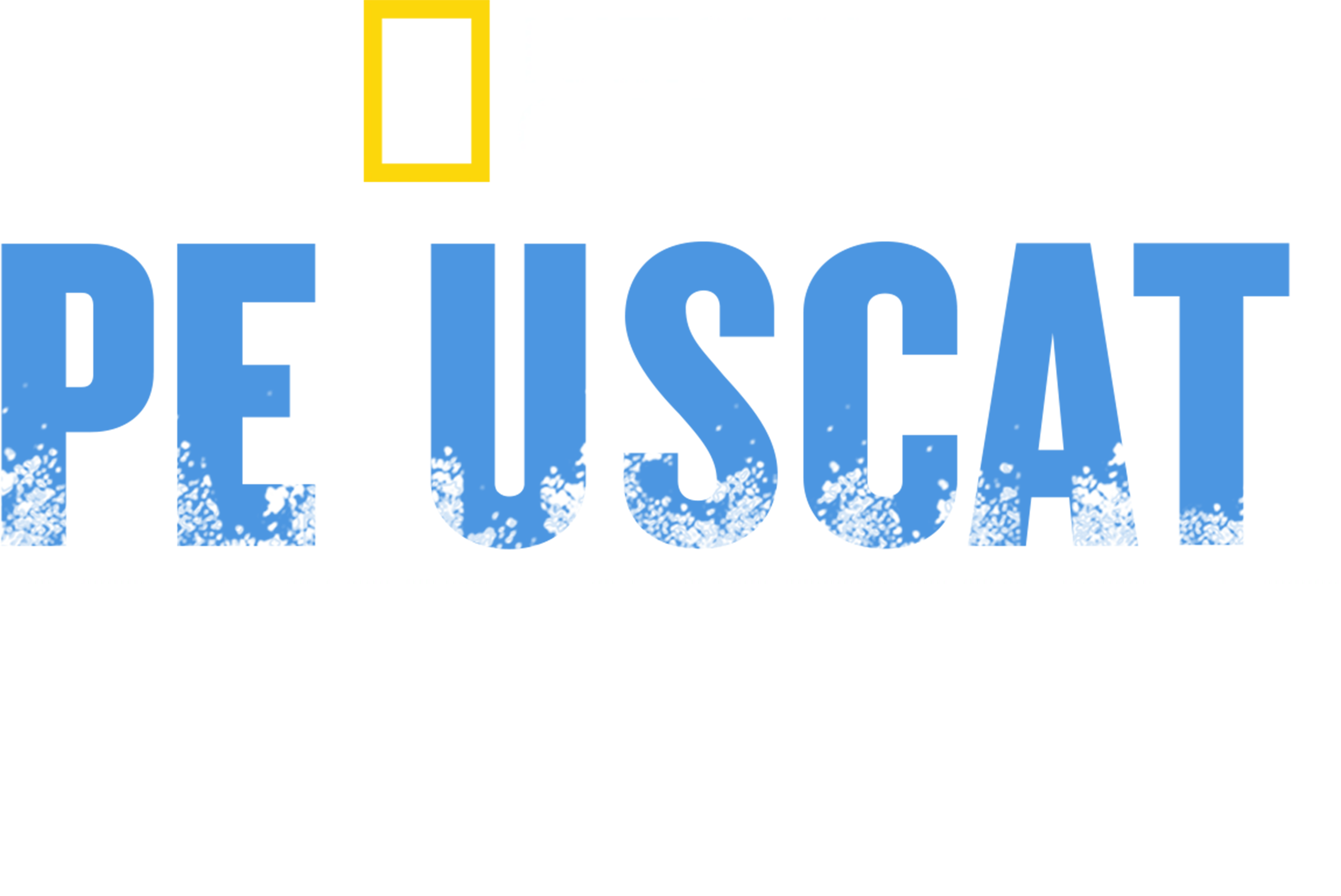 Pe uscat: Orașul scufundat al piraților