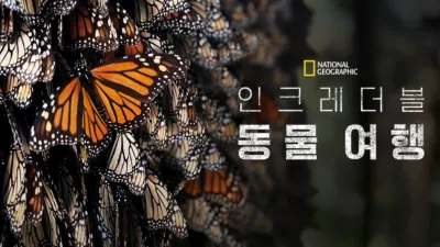 인크레더블 동물 여행