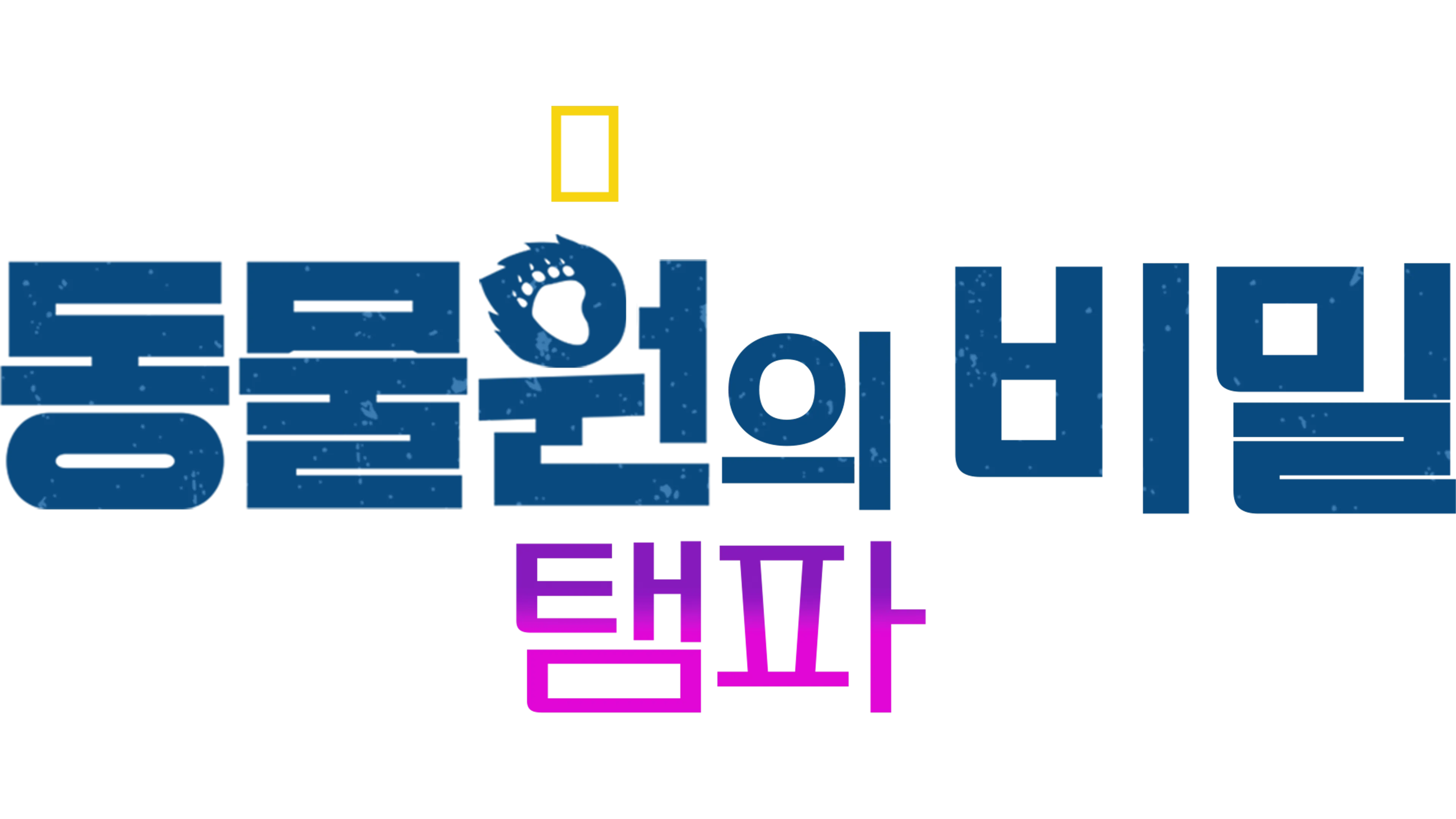 동물원의 비밀: 탬파