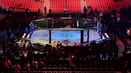 Ultimate Fighting Championship