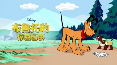 布鲁托的惊喜包裹