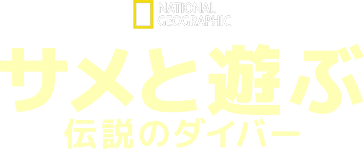 サメと遊ぶ伝説のダイバー