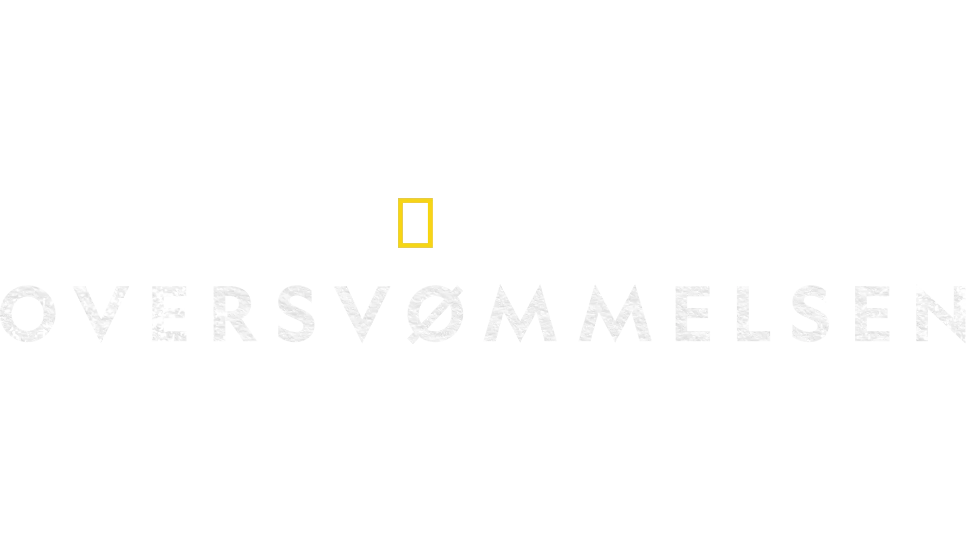 Oversvømmelsen