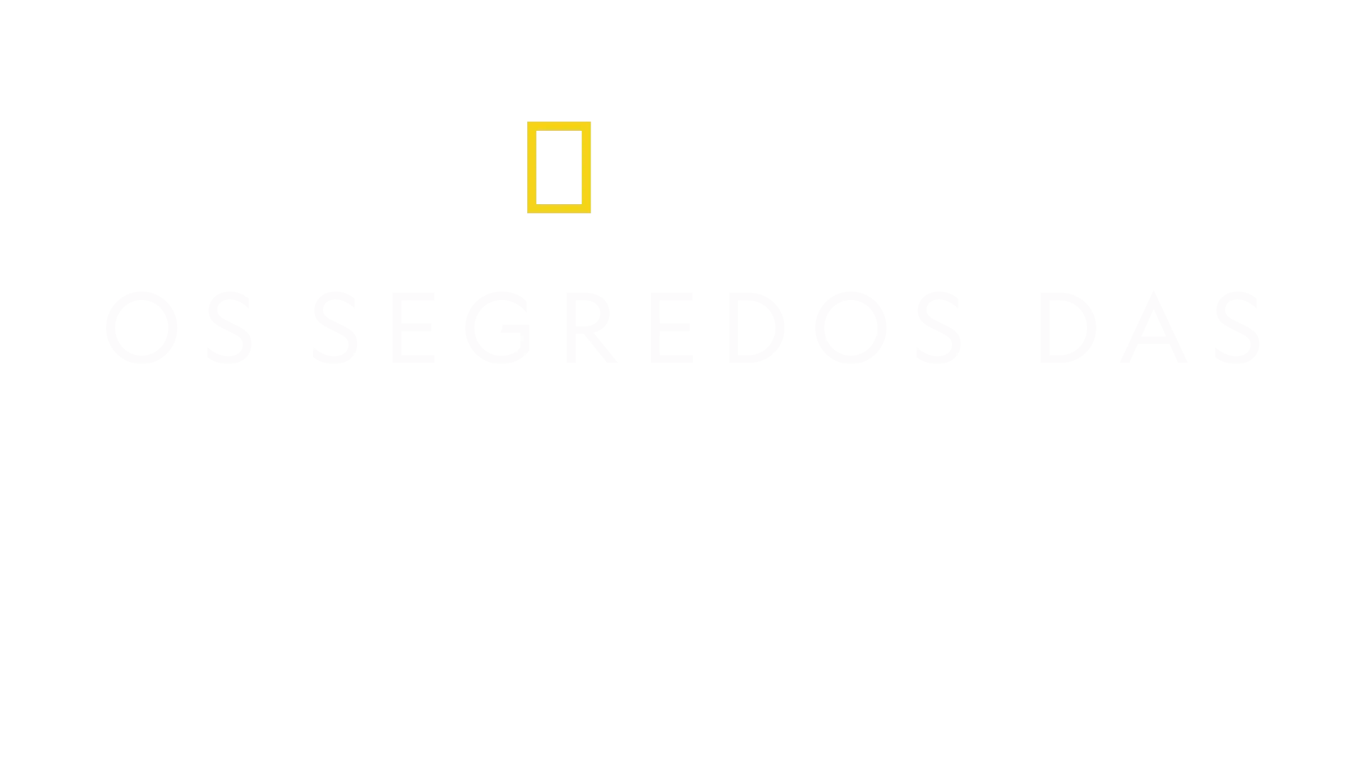 Os Segredos das Baleias