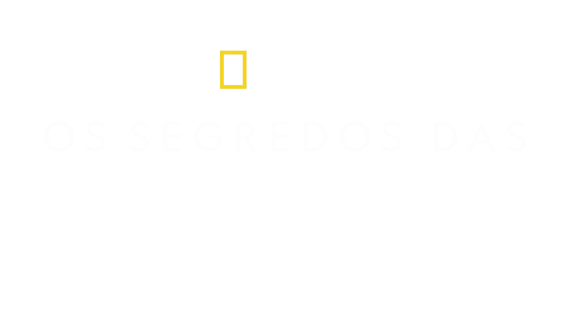 Os Segredos das Baleias