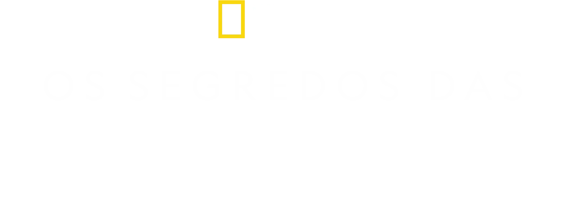 Os Segredos das Baleias